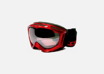 Goggle